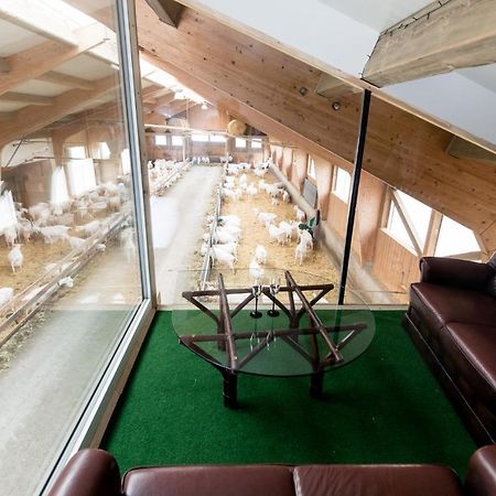 Apartmán Auszeit Am Ziegenhof Nur Fuer Erwachsene Schlierbach Exteriér fotografie