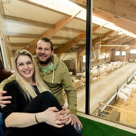 Apartmán Auszeit Am Ziegenhof Nur Fuer Erwachsene Schlierbach Exteriér fotografie