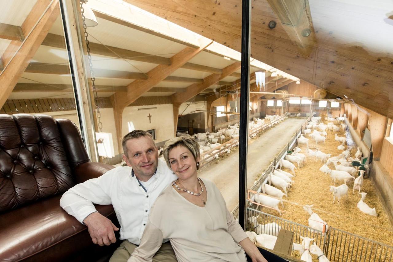 Apartmán Auszeit Am Ziegenhof Nur Fuer Erwachsene Schlierbach Exteriér fotografie